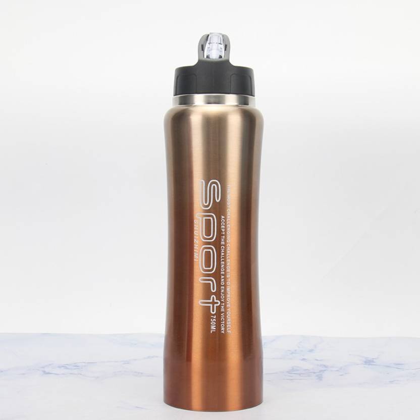 outdoor sports insulated straw water bottle stainless steel 750 ml Sipper (Pack of 1, Gold, Steel)