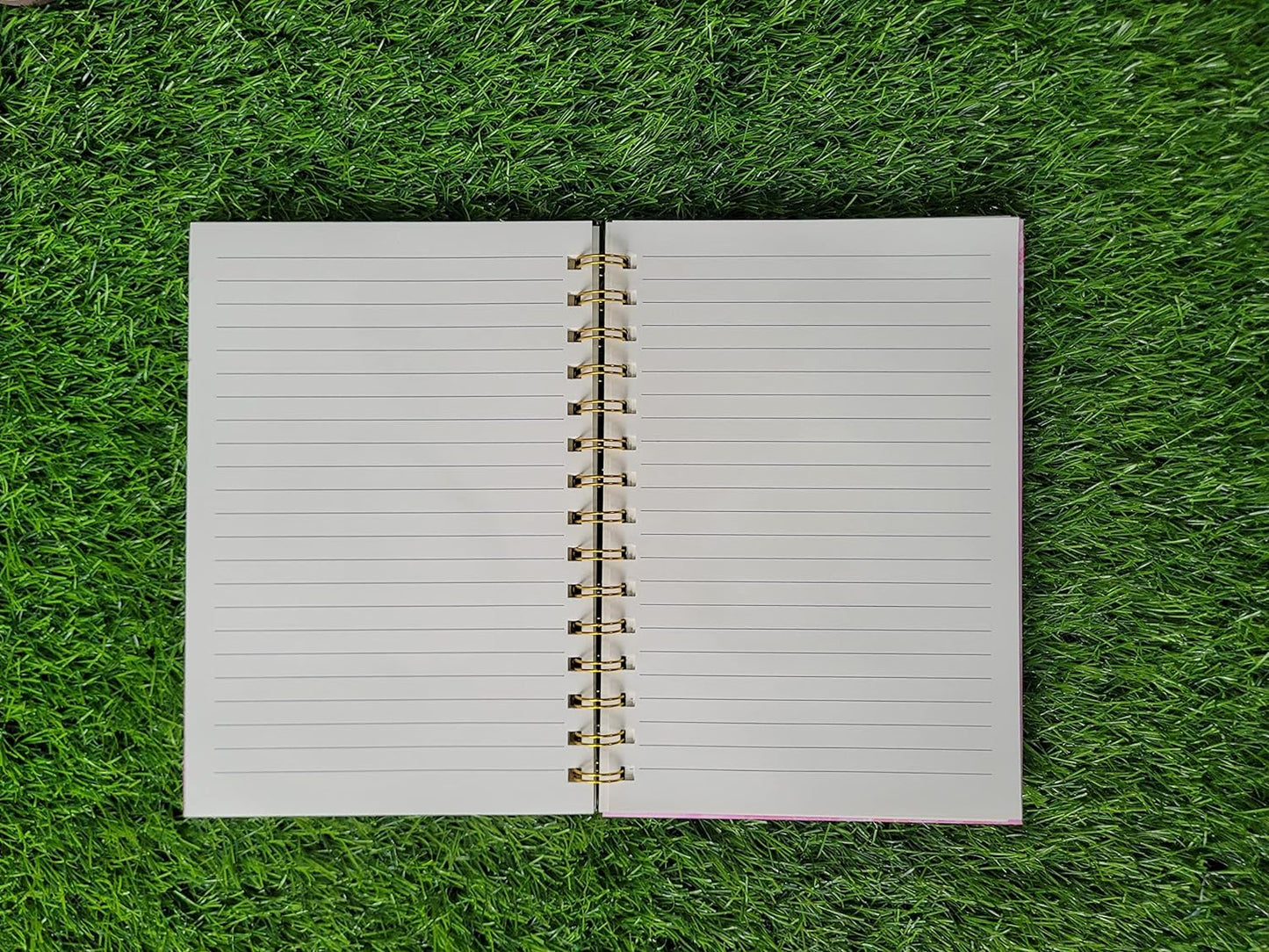 Spot Hunt Pop It Diary With Hard Cover Metal Wirebound A5 160 Pages Diary for Kids Playing and Learning (Fish Popit)