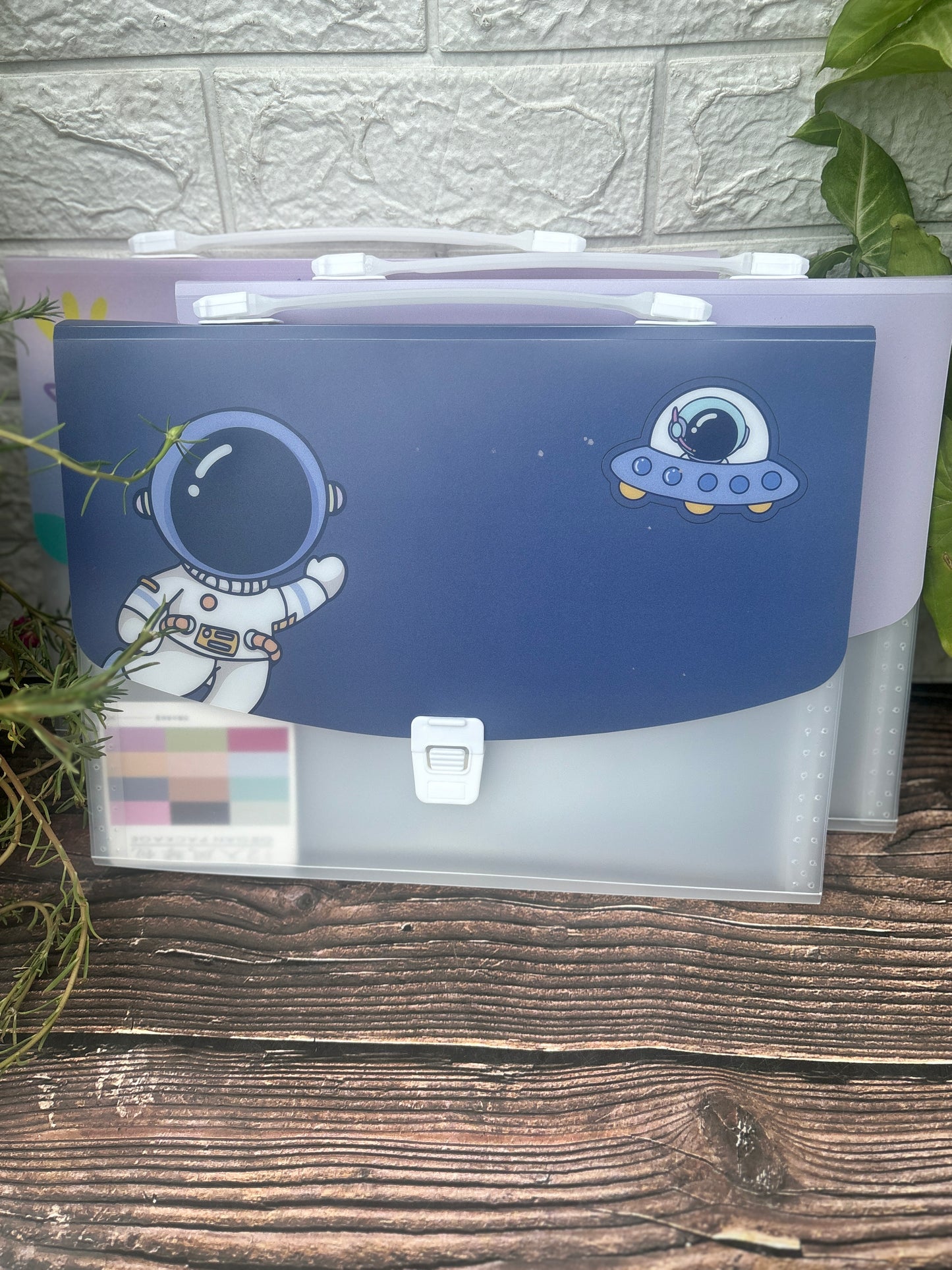 SpotHunt Portable Expandable Folder for Documents