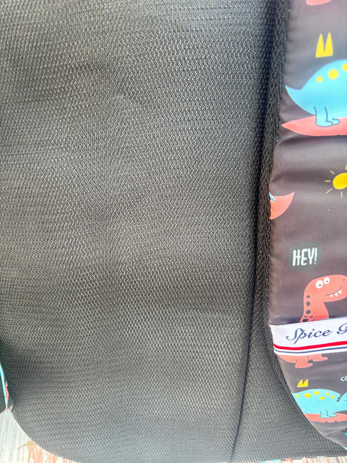 Cute dino School bag for boys and girls