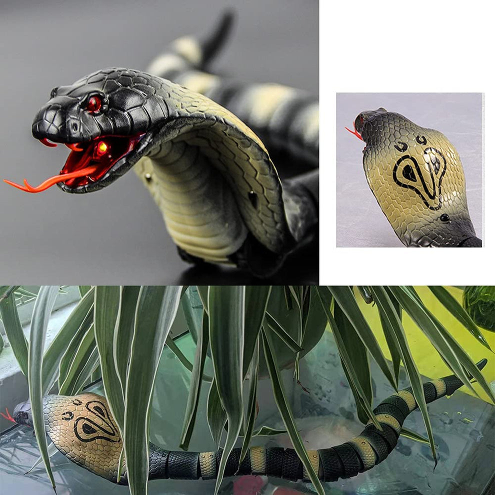 SPOT HUNT Cobra - Black