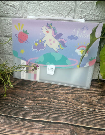 Storage file folder, document file , best for return gift