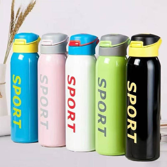 Stainless Steel Insulated Push Button hot & Cold Flick top Bottle 550 ml Bottle  (Pack of 1, Multicolor, Steel)