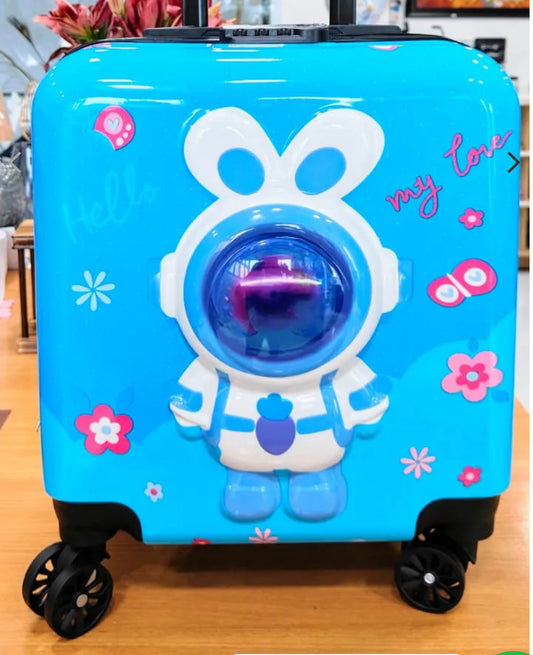 Trolley suitcase /trolley bag for kids