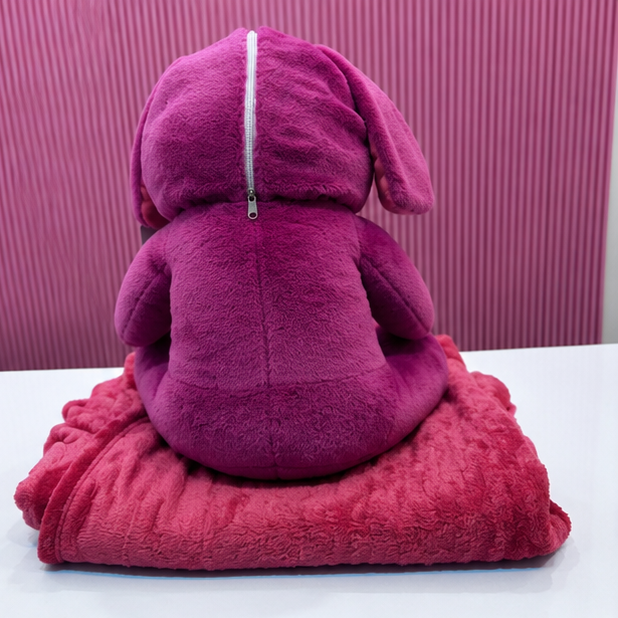 2-in-1 Plush Soft Toy with Blanket