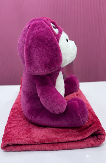 2-in-1 Plush Soft Toy with Blanket