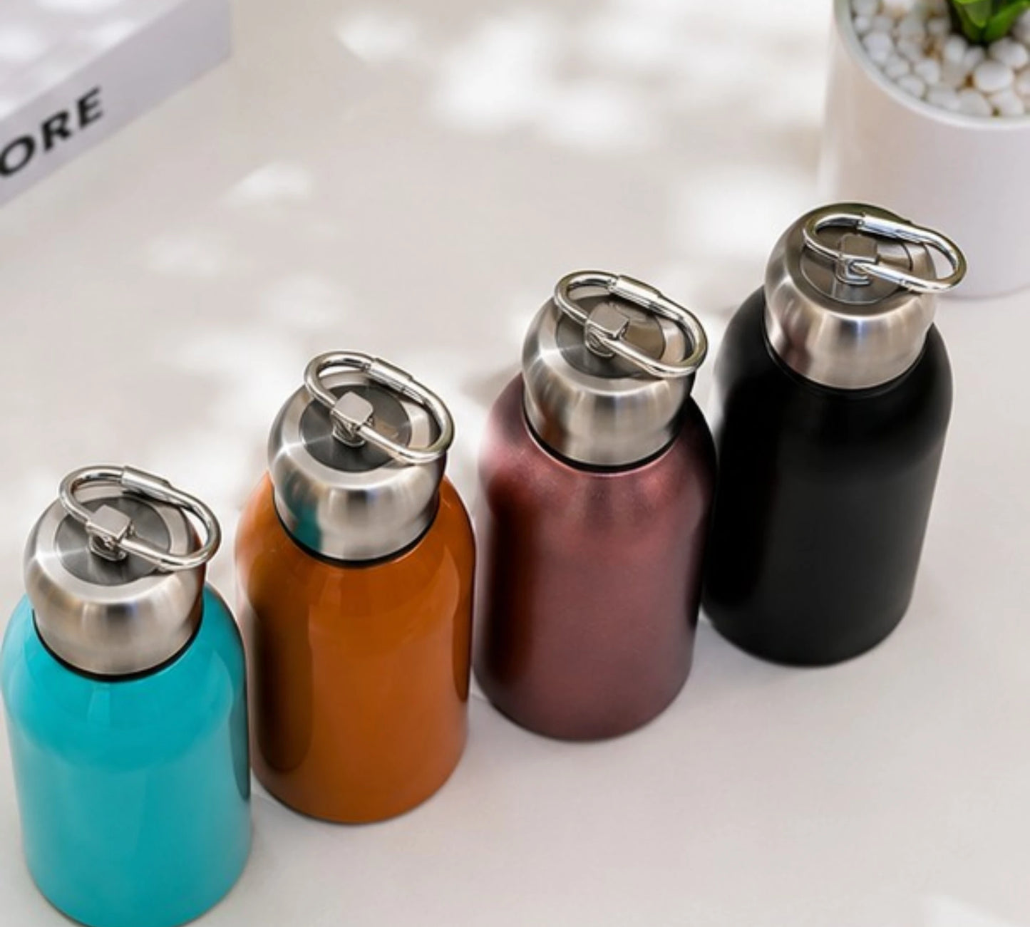 Stainless Steel Insulated Water Bottle