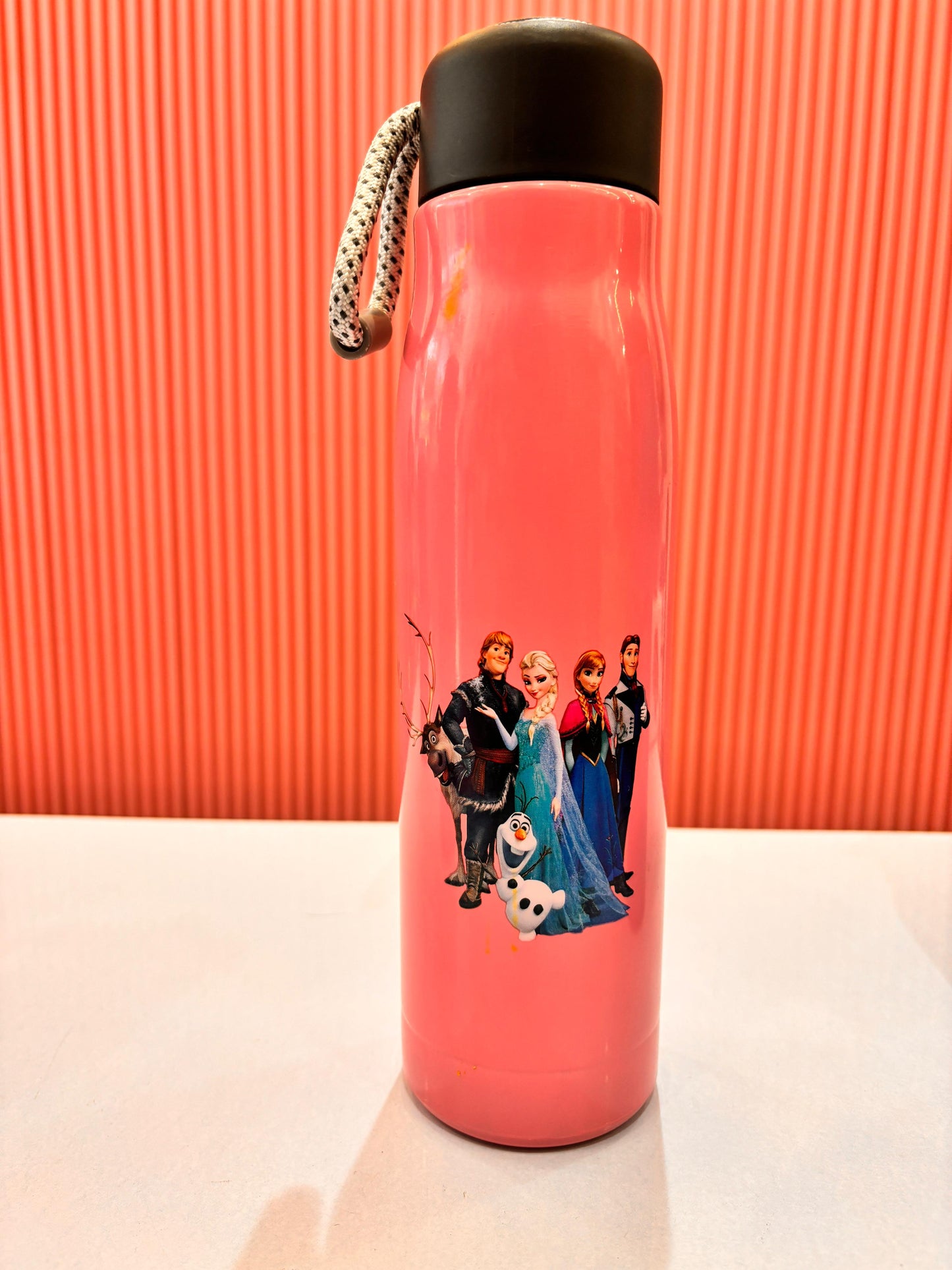 Kids Stainless Steel Vacuum Insulated Water Bottle 480ml | Leakproof Cartoon School Bottle | BPA Free | Cars, Spider-Man & Frozen Designs