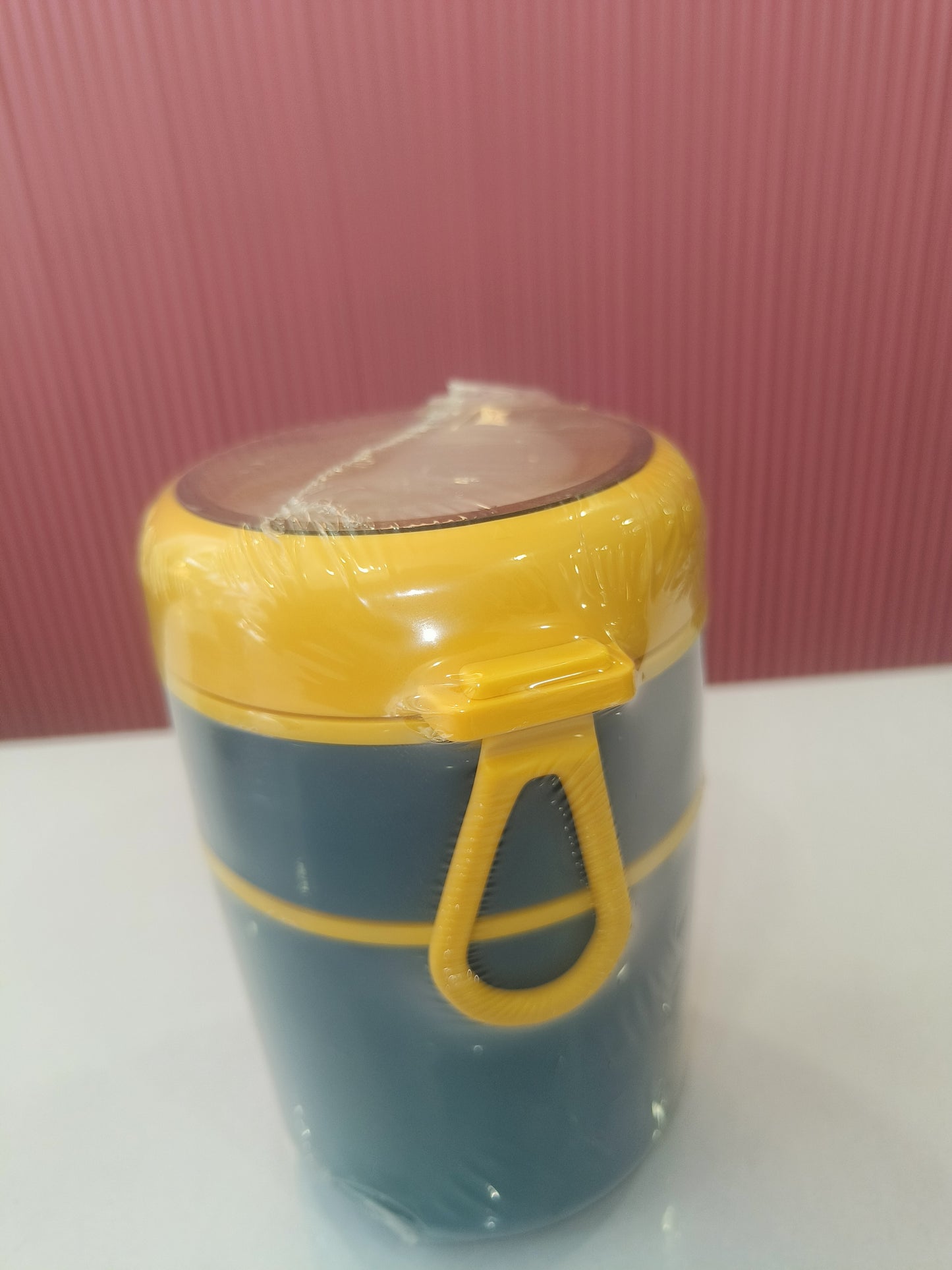 Two-Box Lunch | Stackable Insulated Tiffin with Handle
