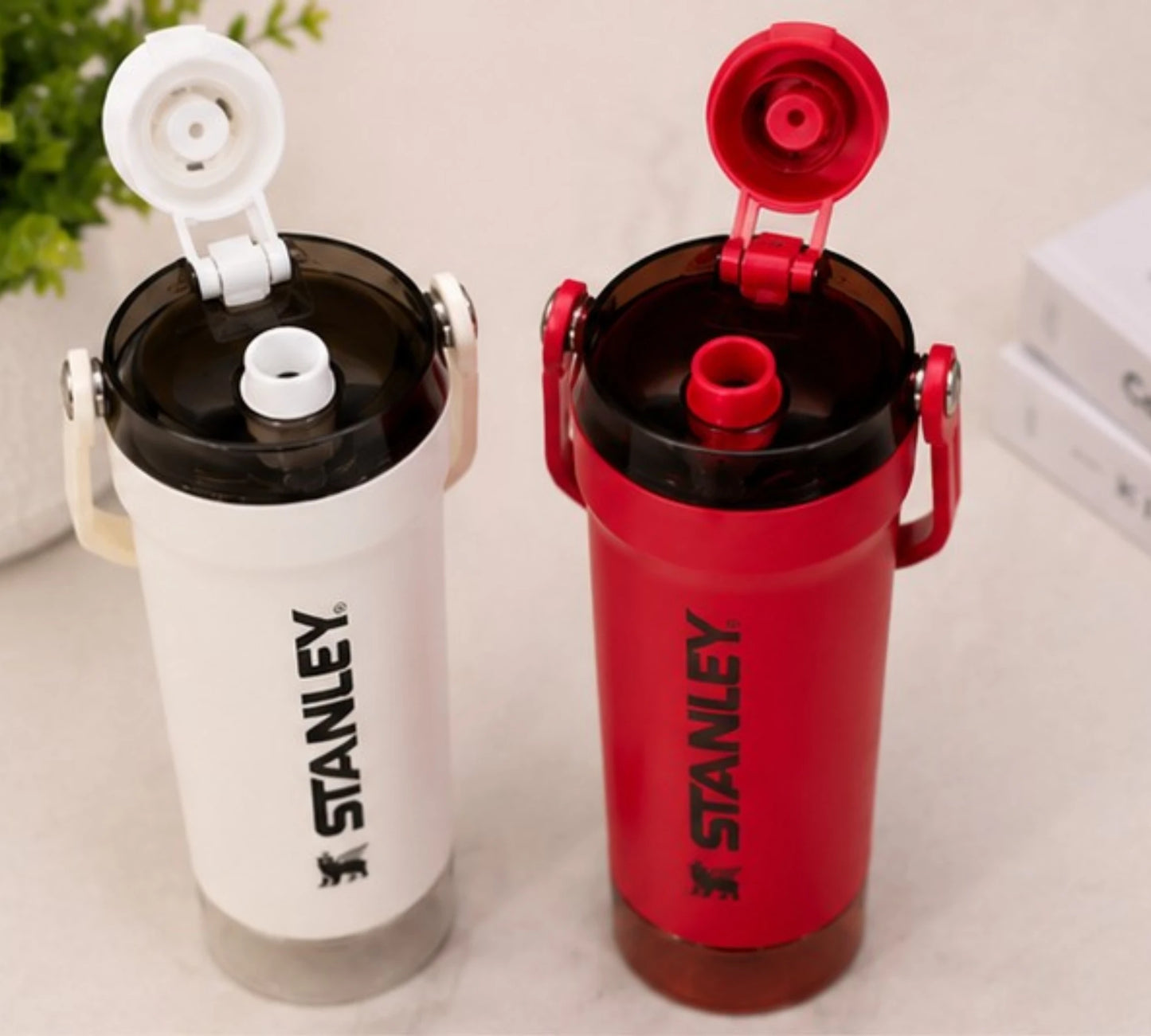 Stanley Leakproof Gym Shaker